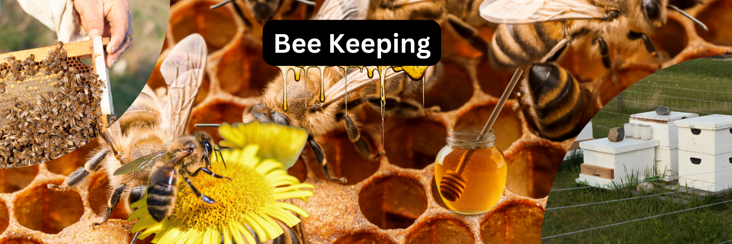 Shrissty Bee Keeping